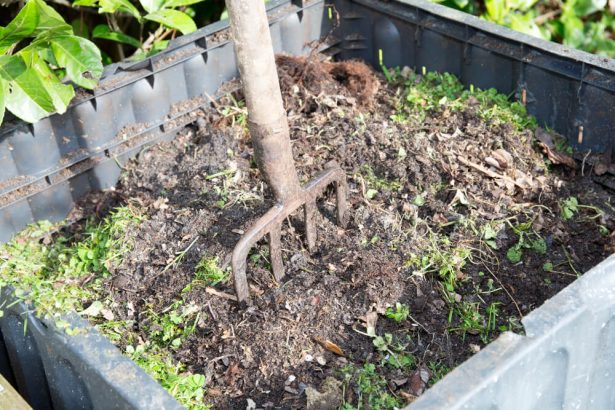 compost gazon