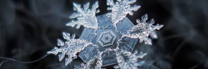Les flocons de neige comme vous ne les avez jamais vus !
