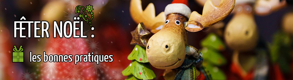 bandeau-noel-ecologique