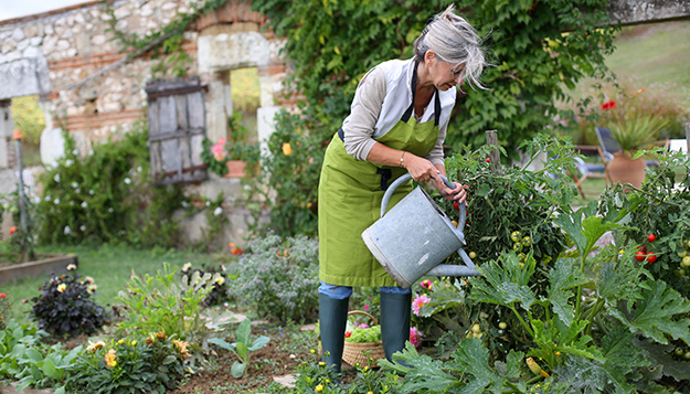 incroyables comestibles incredible edible potager urbain jardin partagé légumes de saison abondance partagée incroyables comestibles incredible edible potager urbain jardin partagé légumes de saison abondance partagée