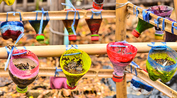 potager urbain culture fruits et légumes en ville sur un balcon ou une terrasse