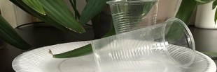 Environnement : la vaisselle jetable va devoir devenir biodégradable