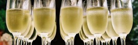 champagne bio