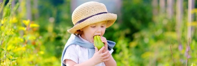 Comment faire manger des légumes et plus de fruits aux enfants ? Comment faire manger des légumes et plus de fruits aux enfants ?