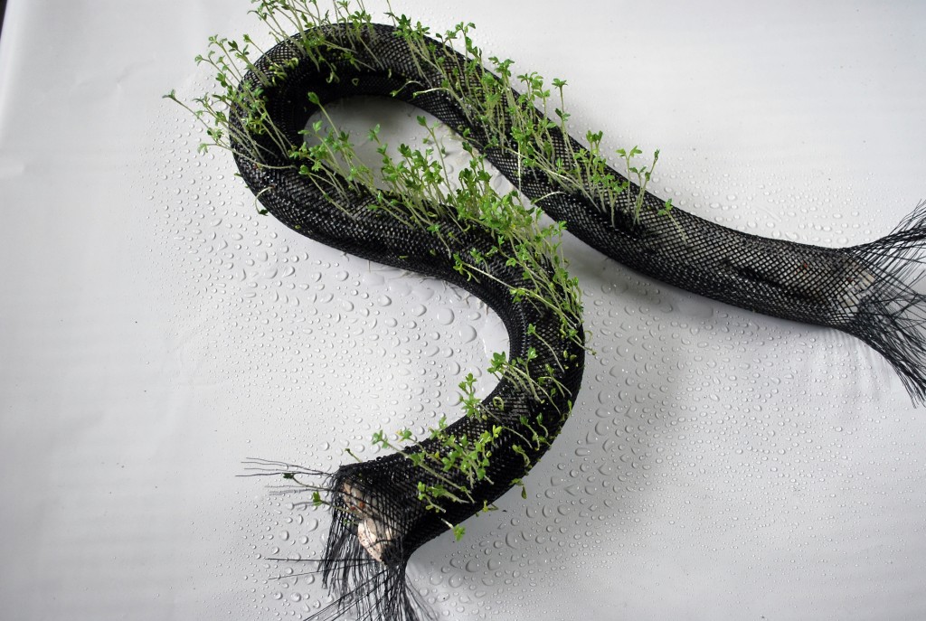 Florarobotica et les végétaux hybrides : des robots pour s’occuper des plantes ? Florarobotica et les végétaux hybrides : des robots pour s’occuper des plantes ?