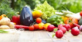 Tous au potager : conseils en jardinage