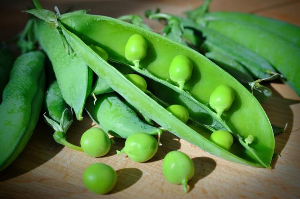 légumes de mai
