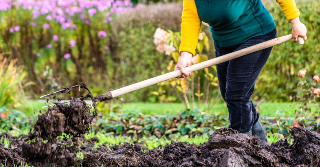 Pour produire plus au potager, pensez fumier ! Pour produire plus au potager, pensez fumier !