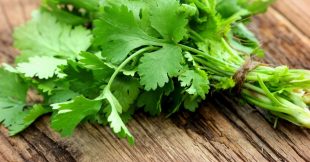 La coriandre fraîche pour une beauté naturelle : 5 astuces incontournables