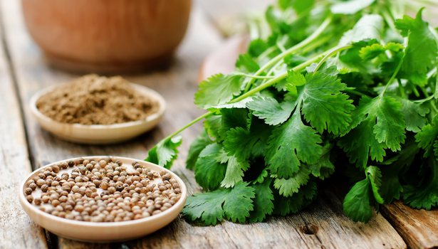 coriandre fraîche recette soin beauté astuce santé