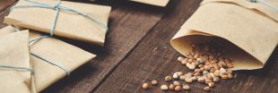 L'astuce toute simple pour savoir si vos vieilles graines peuvent encore germer