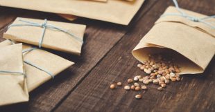 L'astuce toute simple pour savoir si vos vieilles graines peuvent encore germer