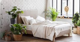 Ma chambre sans toxiques