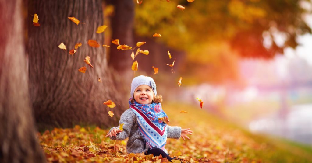Savez-vous vraiment pourquoi les feuilles changent de couleur en automne ? Savez-vous vraiment pourquoi les feuilles changent de couleur en automne ?