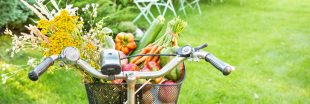 Mai : les légumes et fruits de saison, les fromages, les viandes