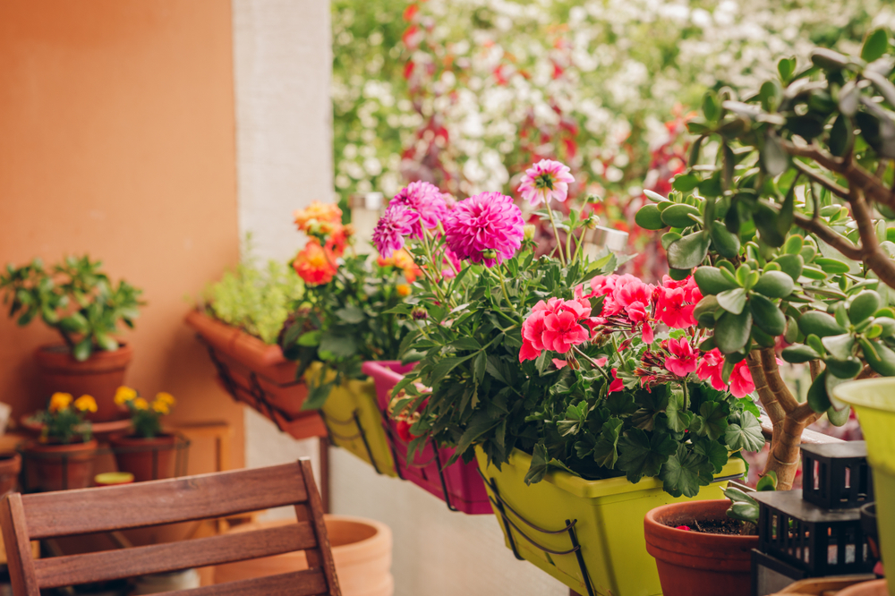 Autres conseils pour réussir ses jardinières