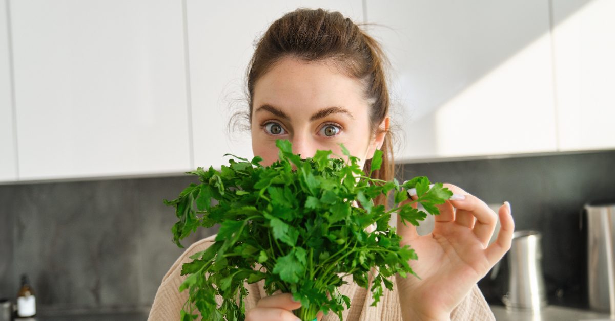 Dans le persil, tout est bon ! La preuve avec ses nombreux bienfaits insoupçonnés Dans le persil, tout est bon ! La preuve avec ses nombreux bienfaits insoupçonnés