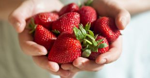 Recycler les queues de fraises, trésors méconnus pour votre jardin et vos papilles !