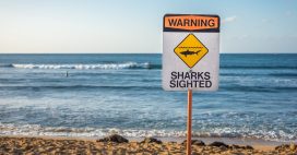 Les 10 plages les plus dangereuses du monde