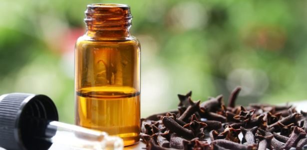 Quelles huiles essentielles contre les punaises de lit ?