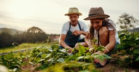 Peut-on louer son jardin entre particuliers ?