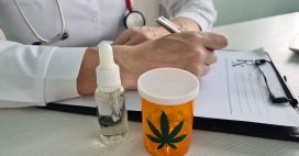 Légalisation du cannabis médical : la France appuie (enfin) sur l’accélérateur