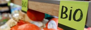 Agence bio : un coup de hache budgétaire en pleine moisson
