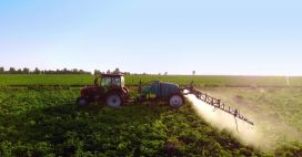 Journée mondiale de l’environnement : et si on arrêtait de saupoudrer nos patates… au cadmium ?