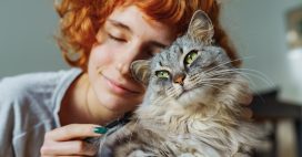 Les chats sont-ils les seuls animaux à ronronner ?